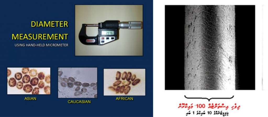 One Photos - 0V9bq44jIuC9kx5y4CAbCfc4T.jpg