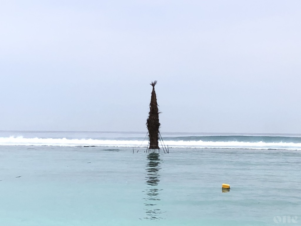 One Photos - 1lUUrd5oRmh3mmhir8K0GjSt6.JPG