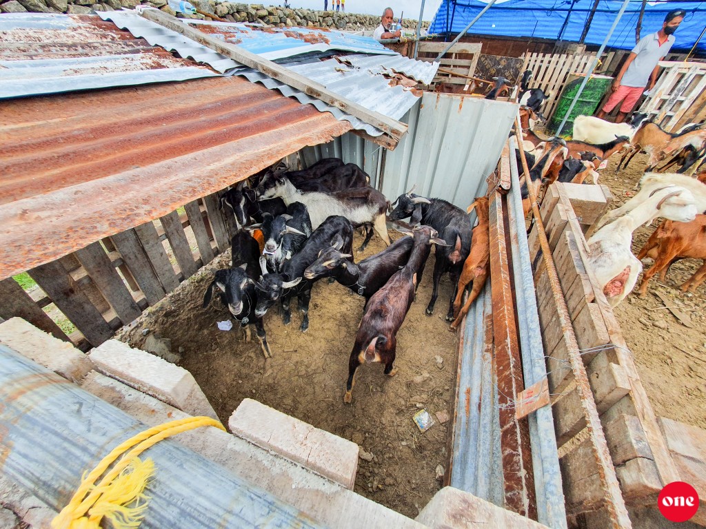 One Photos - 3nRwJv3QPytxCVfe8dPlZUvUb.jpg