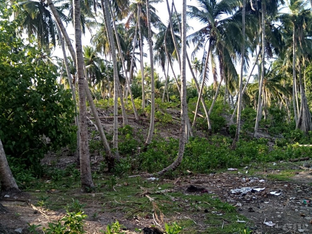One Photos - 5zlBiGHNkV45FnrPNa1DuU68s.JPG
