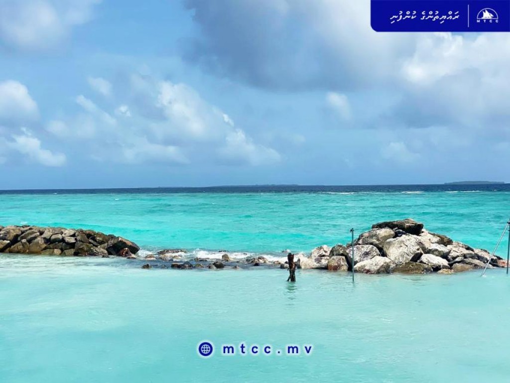 One Photos - 7QgMaHsfpwBnP1n17e3l7a9eS.jpg