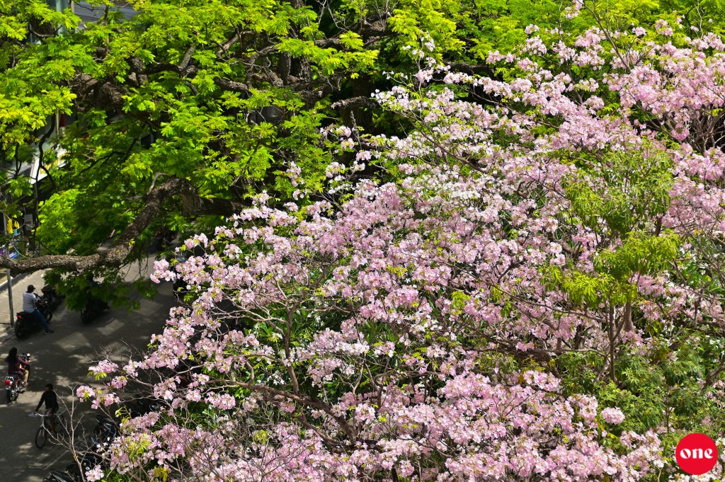 One Photos - 8C03zauNiYdisgpfb6dpZD1MI.JPG