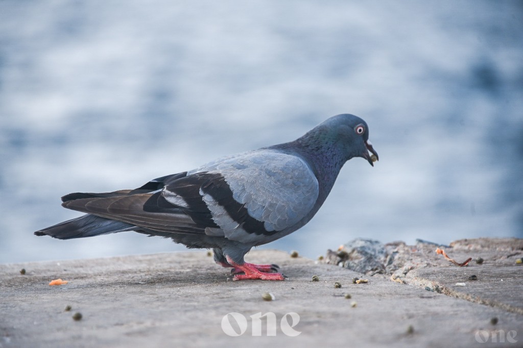One Photos - 99SBwzXrLB1BcDF4OYKxR1Xc2.jpg