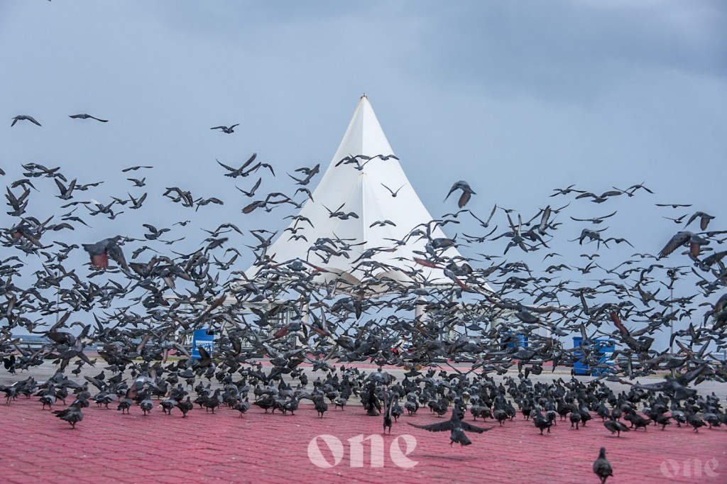 One Photos - BrU7etWPk5c6U9xKjcmOuIKtl.jpg