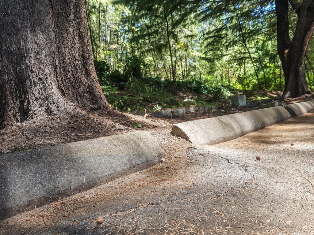 One Photos - CRWx2brswe9WBFJS6oh2HNmNF.jpg