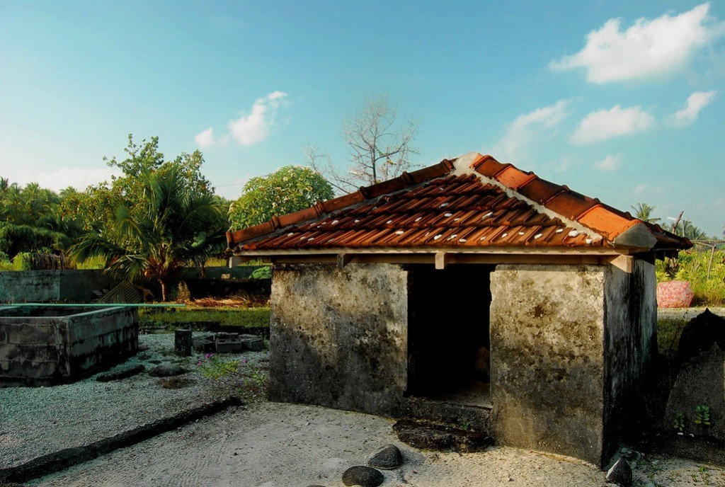 One Photos - DWaf55S2LrgNrPQSB95lfpxLC.jpg