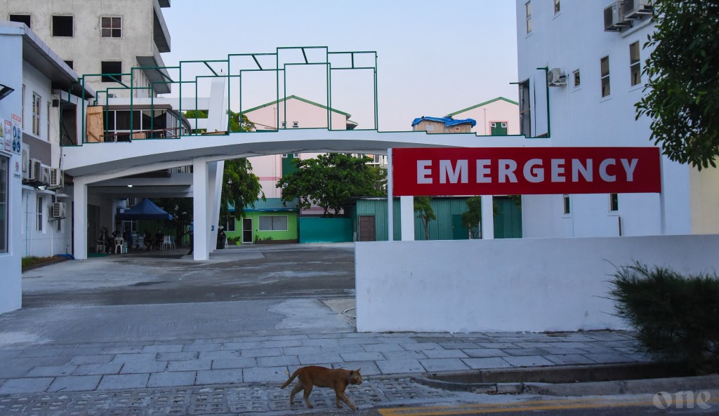 One Photos - GJLocvJwqnZUxiEdcu1LM0clr.jpg