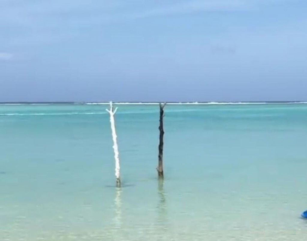 One Photos - HvBXyBtcffiT189Dz4i3QL1KJ.jpg