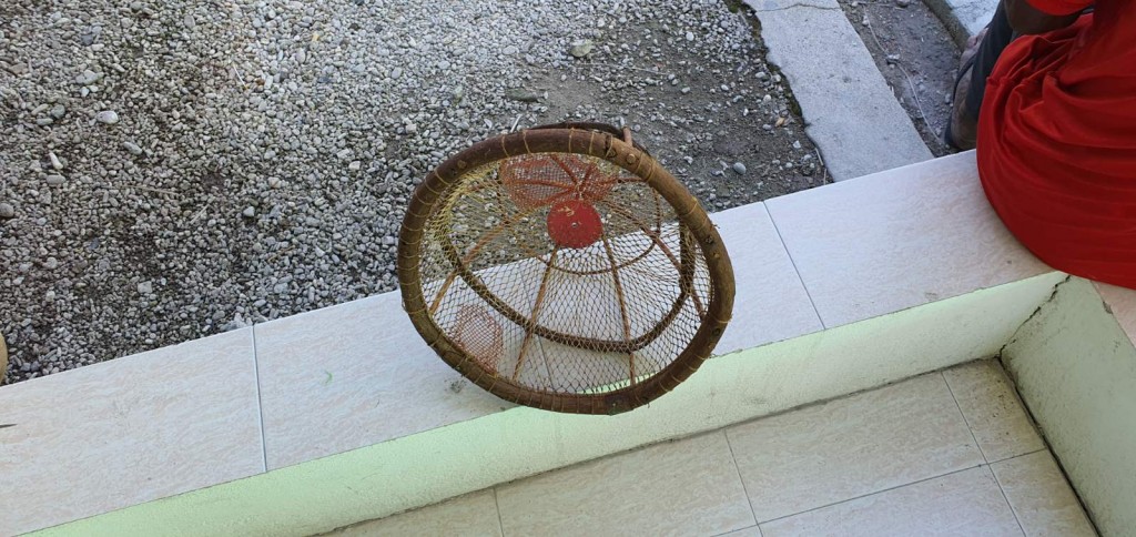 One Photos - HzlCScT77an5o8CxiRQ8W4BV9.jpg