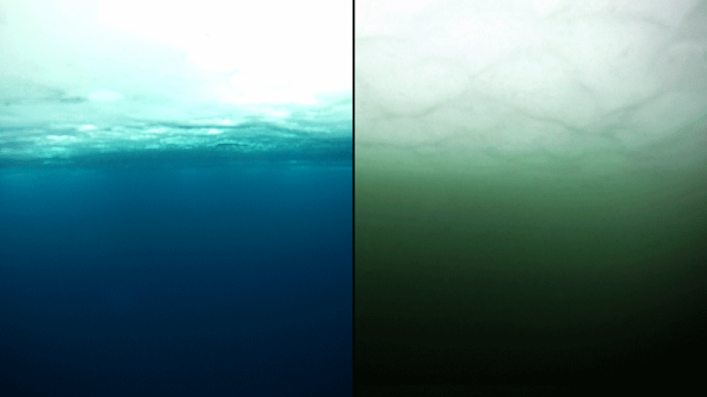 One Photos - IP7Q2SuSl0PN1RmgfJ5rMeplF.png