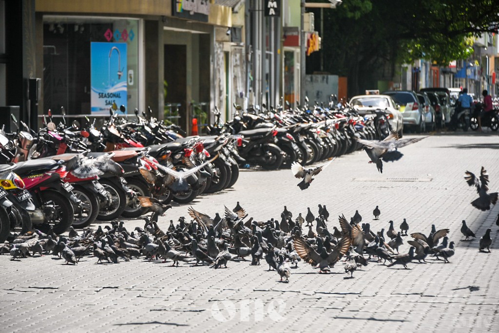 One Photos - IrWJO3NnAAlDU89IGdZjcny3B.jpg