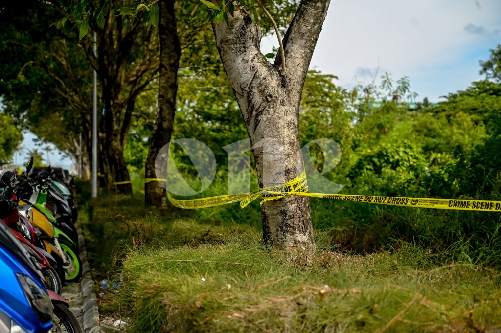 One Photos - KkUHti88TF8kTUhQGYZtmtkV8.JPG