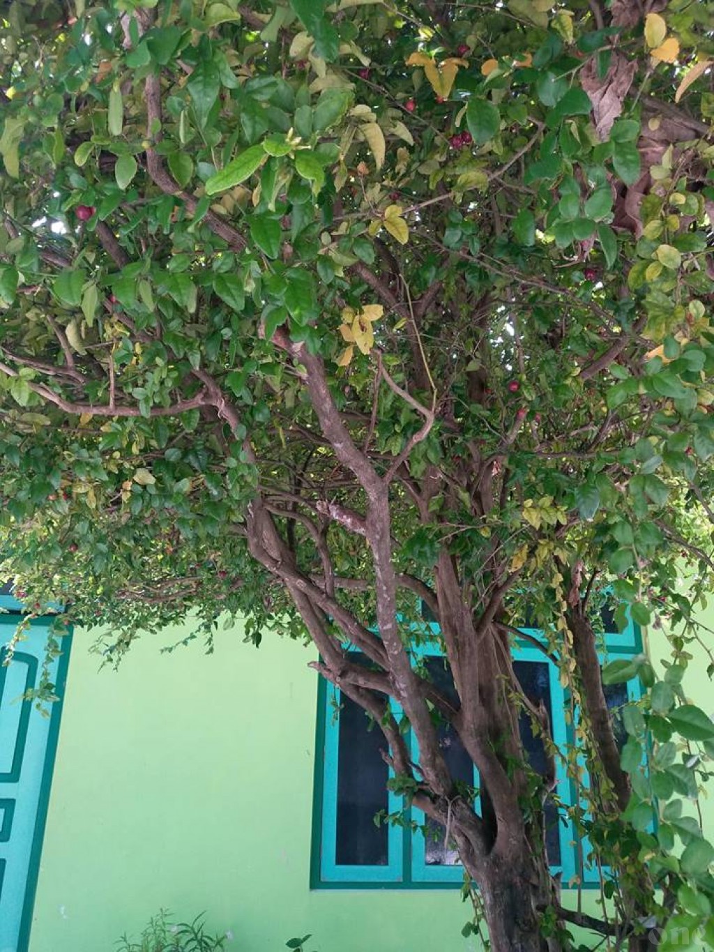 One Photos - MsYoK0nfoPRvlM16vRqGj5cQa.jpg