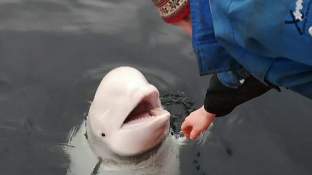 One Photos - OdeuBsLXbqMCOWZAK0vsClzxC.jpg