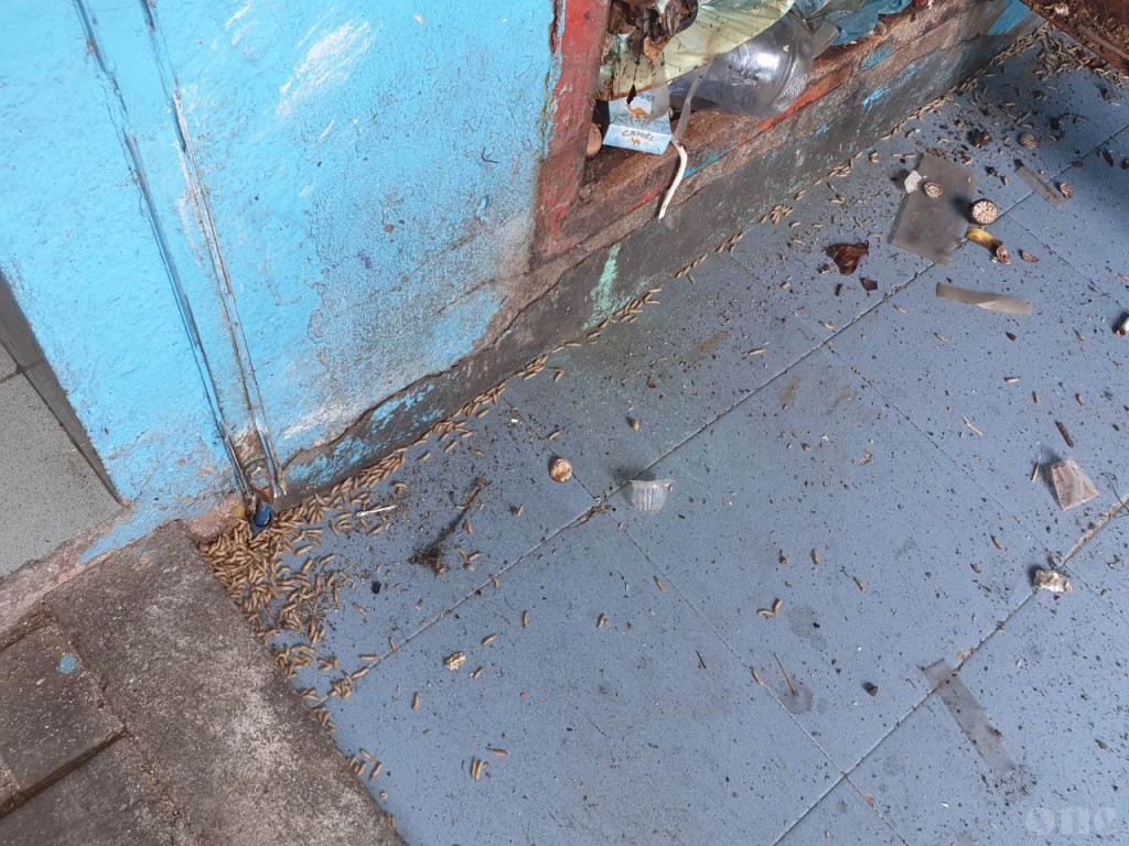 One Photos - Sc7hscLRP4oFRvHITdDQ9Xct0.jpg