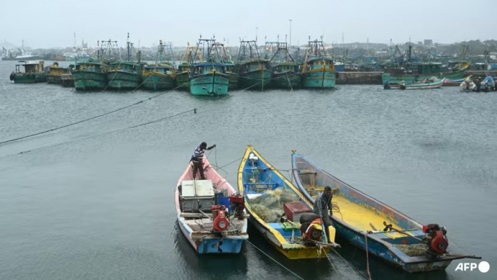 One Photos - V2qLs2lmrTCk7luyoGKUrummy.jpg