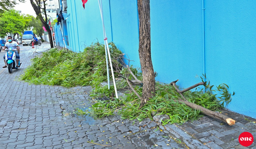 One Photos - YcVZQiK9syBOWlhHnovDuj6FD.JPG