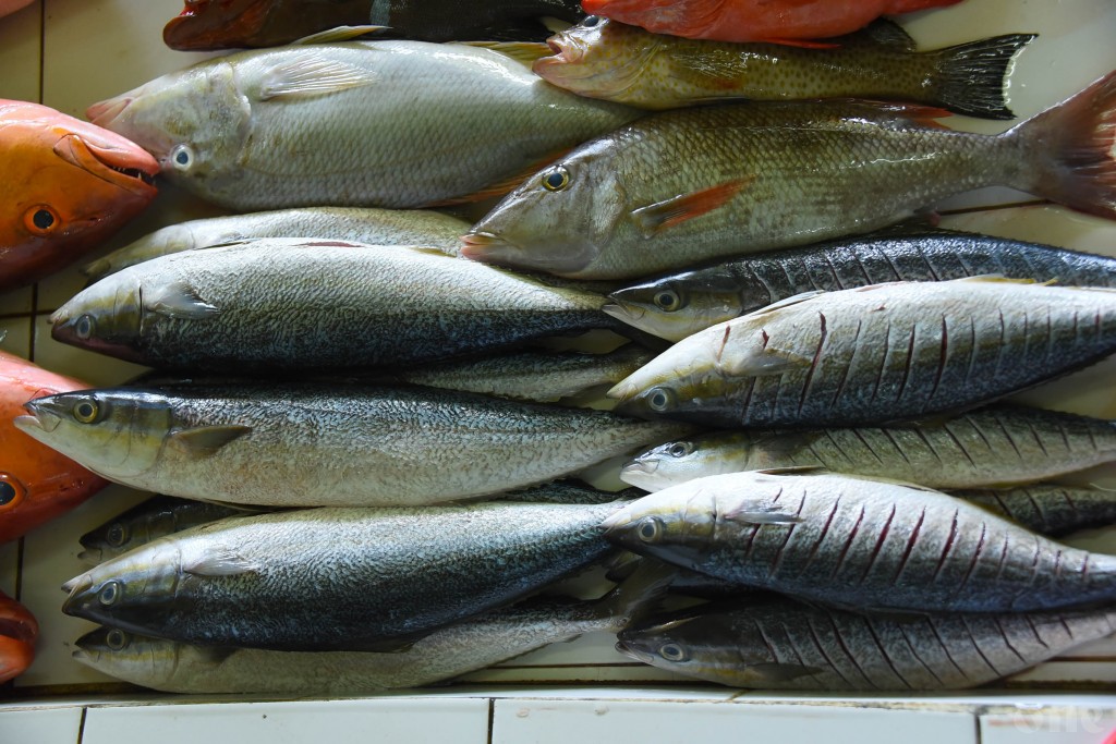 One Photos - ZzU7UPs0UnBRWdUIAuijvKjw5.jpg