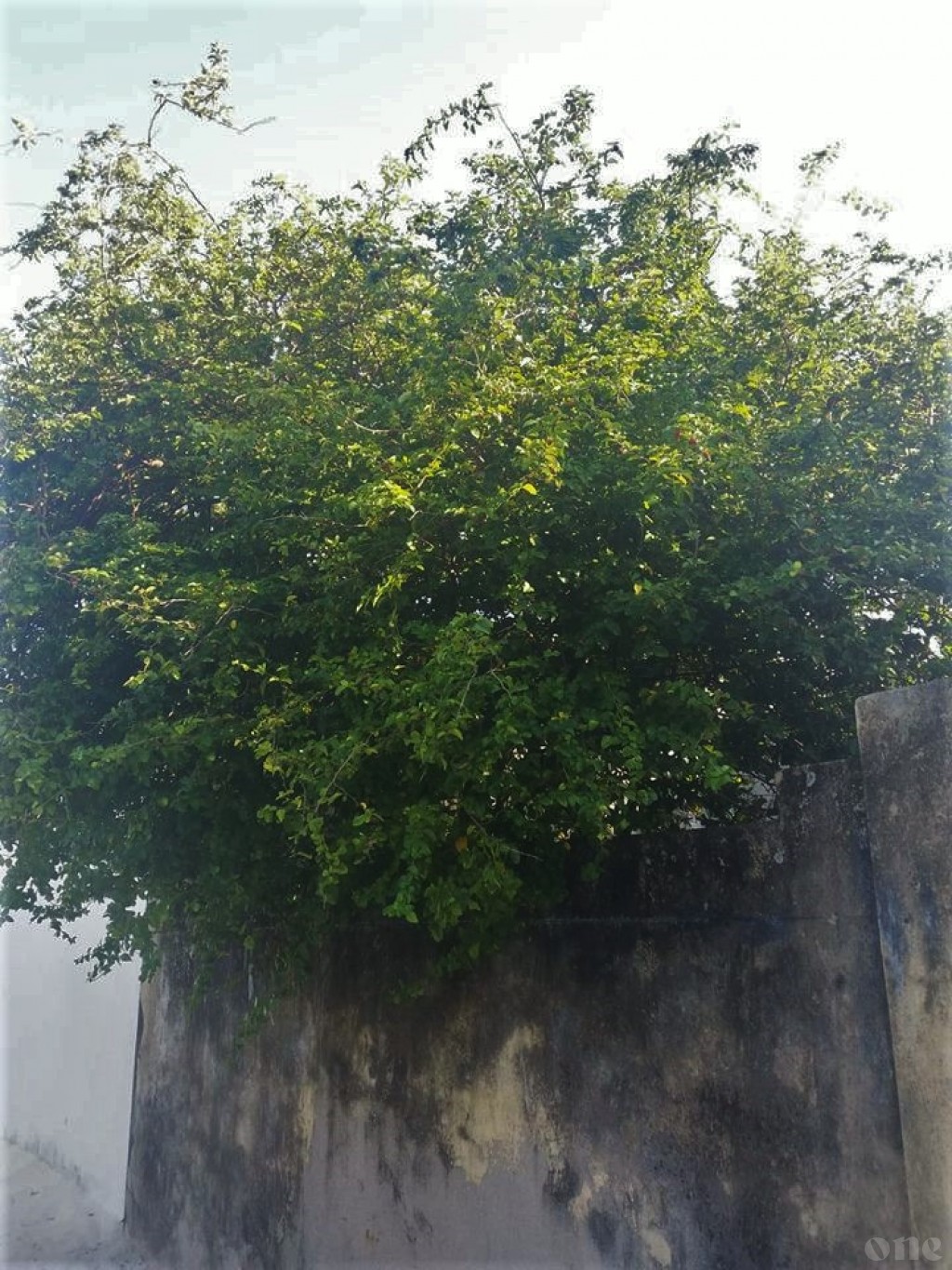 One Photos - bS3u7pb0PMhw0WvTUYNmxQZlA.jpg