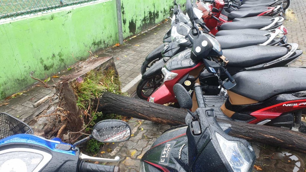 One Photos - cLD4np1bjMg6m7m3q9uKQpCRV.jpeg
