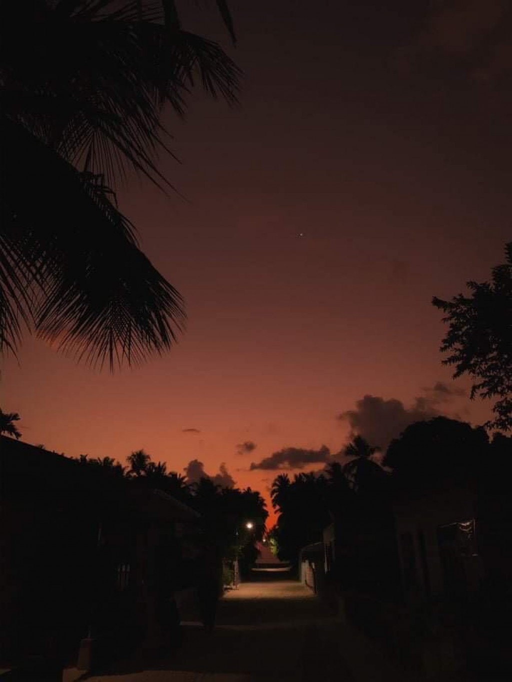 One Photos - dTGW8c3oB71VI6F6sQotqPITu.jpeg