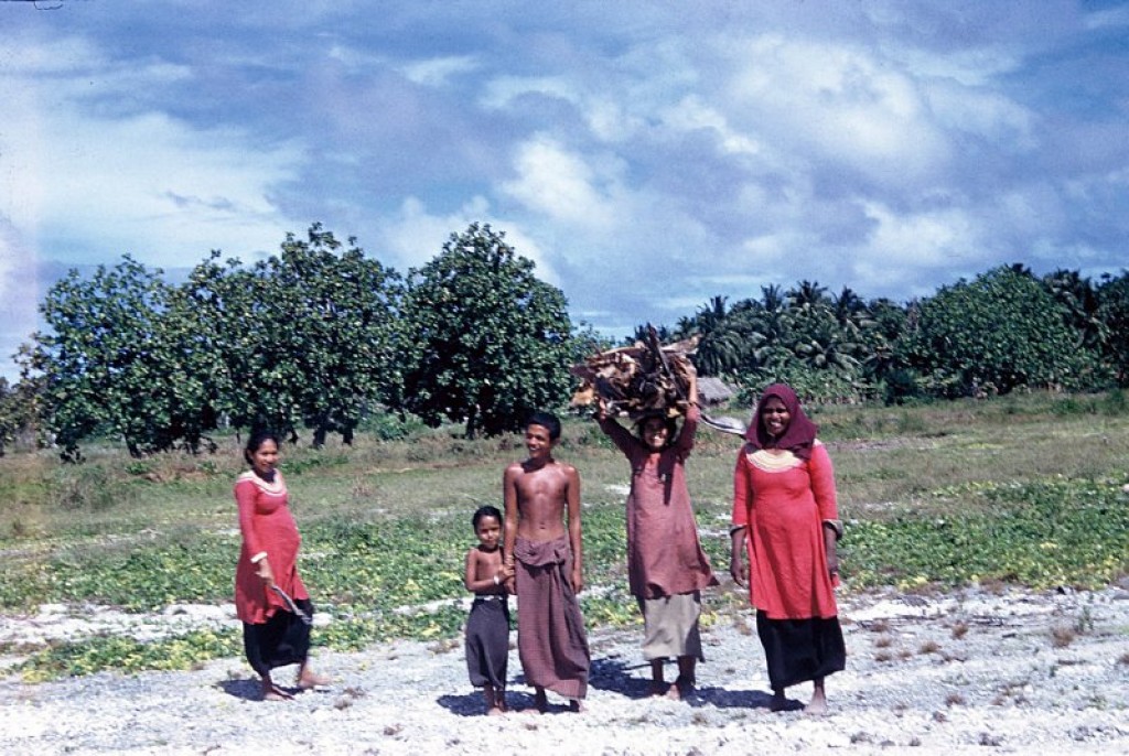 One Photos - df20UhOC2YlzJPbWXzVOgpUTV.jpg
