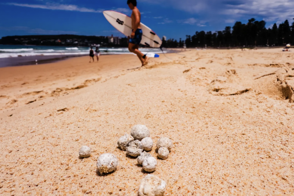 One Photos - fh7FyFdXJjPi5uDjr3aCp3JQM.png