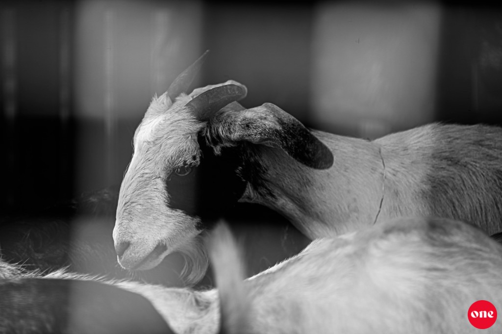 One Photos - jjwpLxVvy2WcL0LMeaObSb78F.jpg