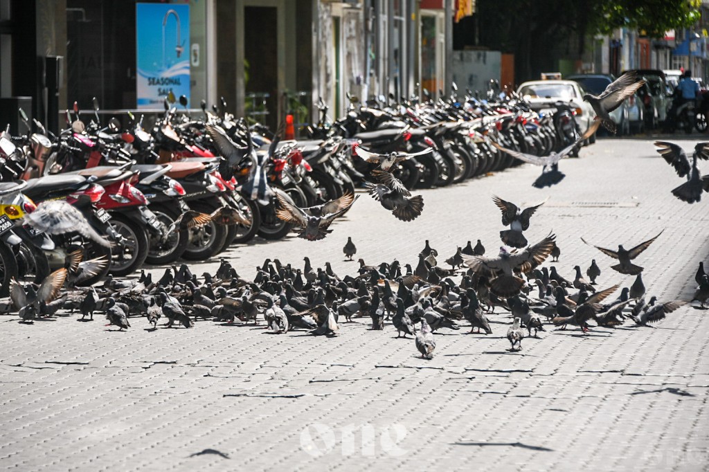 One Photos - kZpOF3udgdtusa9jS9XXKfffx.jpg