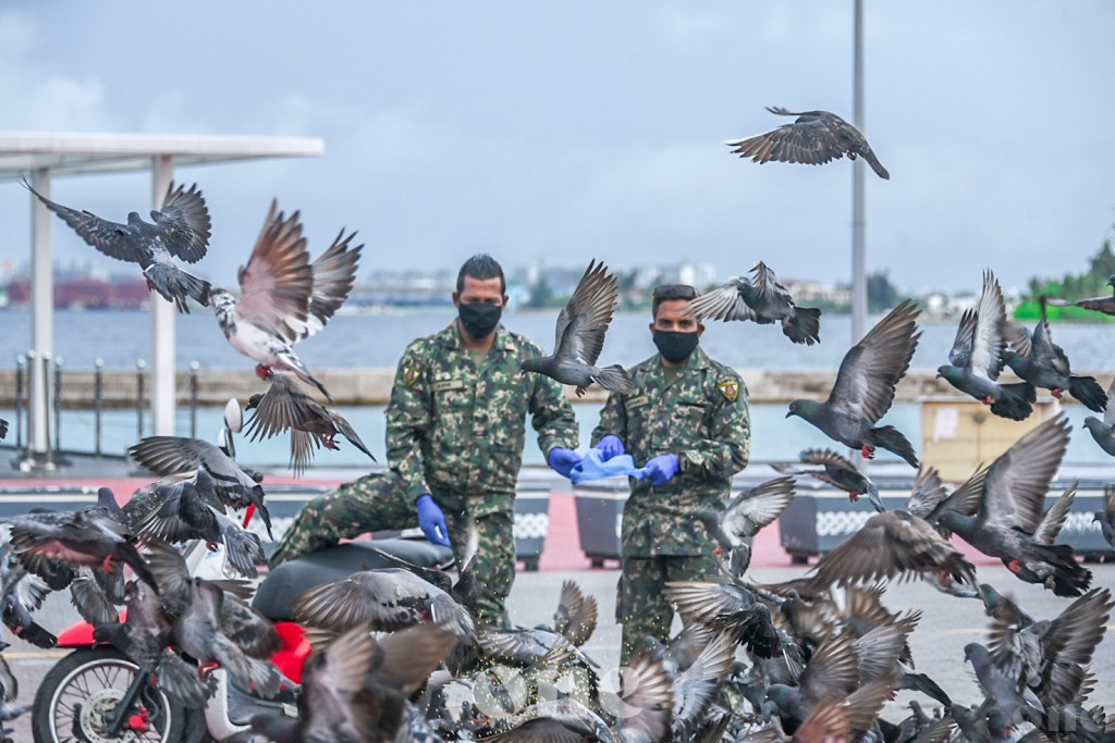 One Photos - lKzG1K0Y3GgoIUFvPvnE0mWCk.jpg