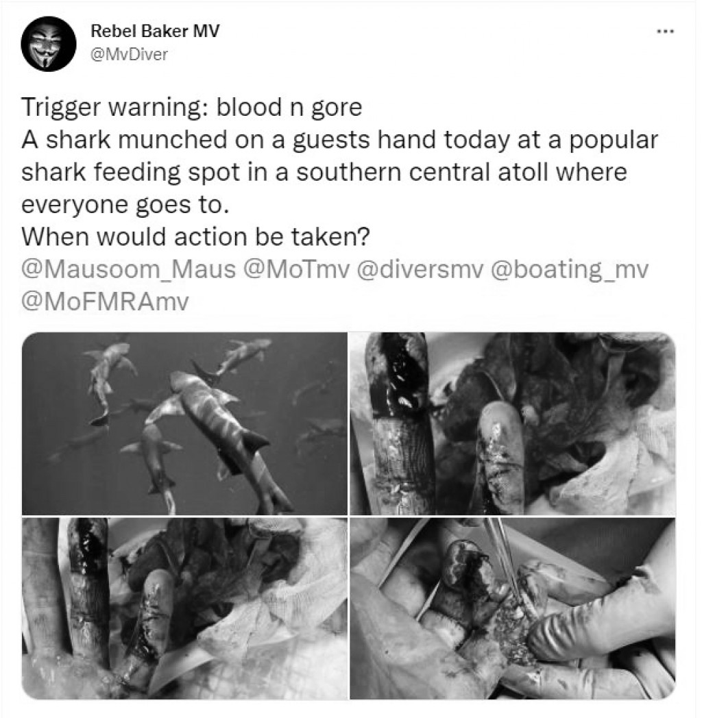 One Photos - rLUSTkZOg0fb24LN6X3rqrWxf.JPG