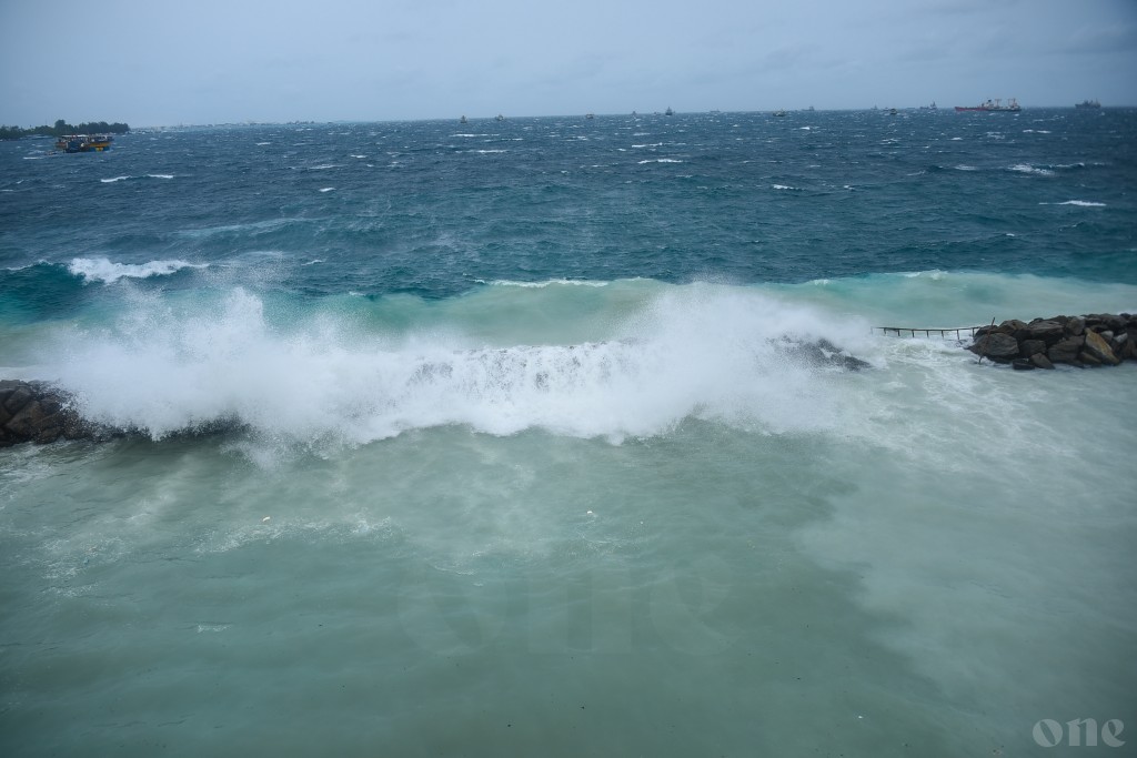 One Photos - tTCurXvutPbzrpvAJJQsUYT7F.jpg