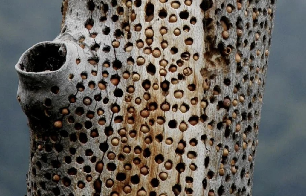 One Photos - toXLuEmGh0FMOHioSjtHzaIkR.png