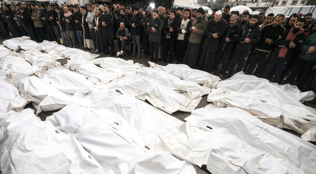 One Photos - tzJ3W3B78yiZfayMTWzMjjUKH.png
