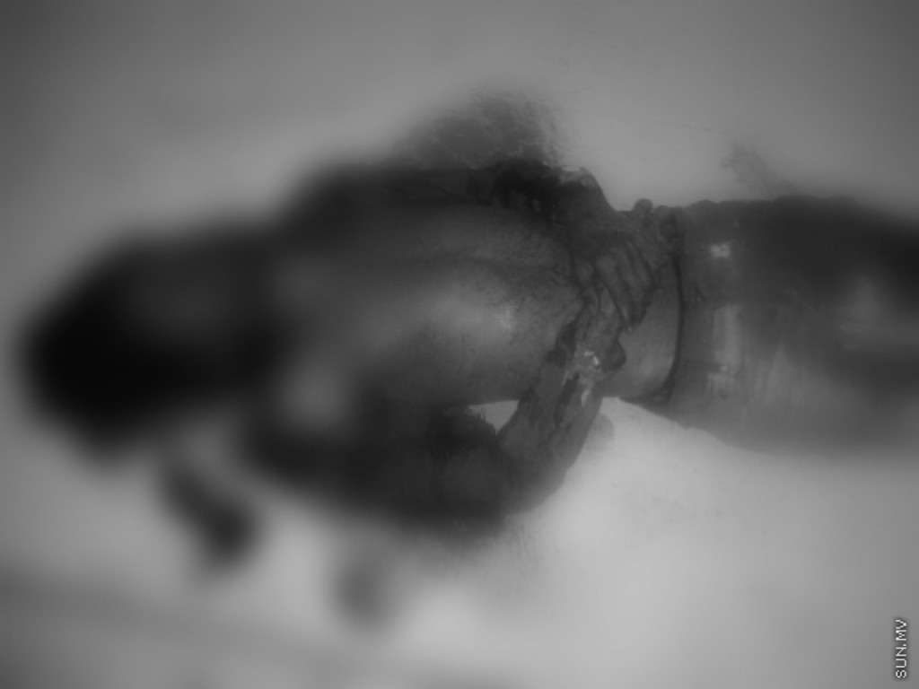 One Photos - vBhFAqi0t3RjZwtaIindhjNiz.jpg