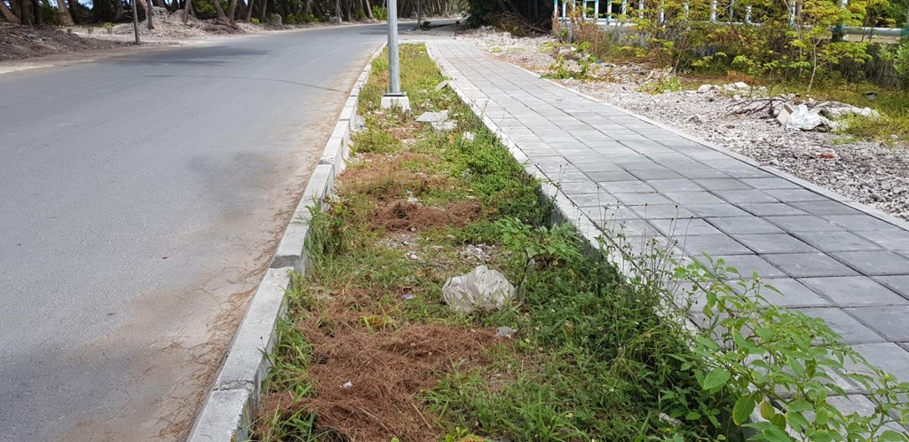 One Photos - zBYCmuQigW3rBmQjCg9tASqAn.jpg