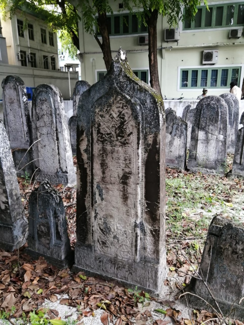 One Photos - zUMZhzHXvIANGcgwGKiQE4Oi3.jpg
